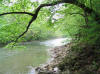 Big Darby Creek Mile 36, above Alkire Road