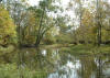 Big Darby Creek, Franklin/Madison County  (c) 2002  DCA