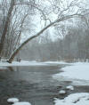 Big Darby Creek, Madison County  (c) 2003 DCA