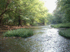 Big Darby Creek at Prairie Oaks Metro Park   (c) 2002 DCA