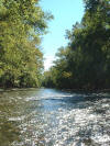Big Darby Creek, Pickaway County  (c) 2002  DCA