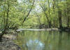 Little Darby Creek, Madison County (c) 2003 DCA