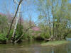 Little Darby Creek above West Jefferson  (c) 2003 DCA