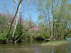 Little Darby Creek above West Jefferson (c) 2003 DCA