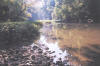 Little Darby Creek, above W. Jefferson  (c) 2002  DCA