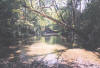 Little Darby Creek, Madison County  (c) 2002  DCA