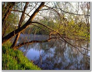 Springtime on the Darby  (C) James Murtha