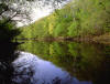 Spring reflections on the Darby  (c) 2000 James Murtha