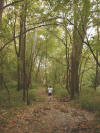 Sycamore Plains Trail, Prairie Oaks Metro Park  (c) 2002 DCA