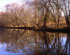 Spring reflections  (c) 2000 James Murtha